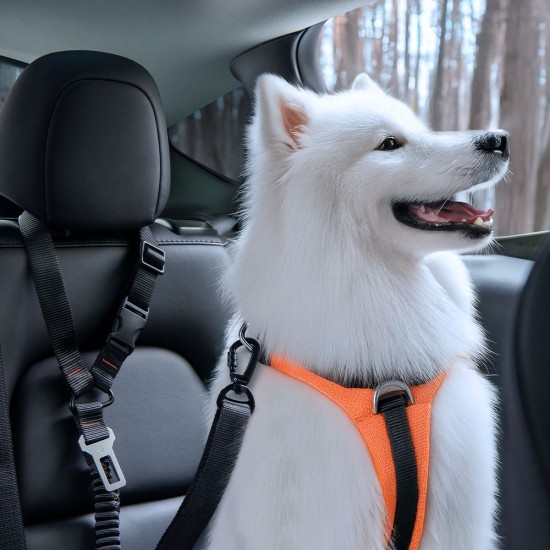 Dispozitiv Fixare Centură Auto Spigen PS100 pentru Animale de Companie, Negru Dispozitiv Fixare Centură Auto Spigen PS100 pentru Animale de Companie, Negru (Accesorii auto, ACP08926) by www.silkase.ro