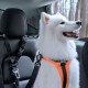 Dispozitiv Fixare Centură Auto Spigen PS100 pentru Animale de Companie, Negru Dispozitiv Fixare Centură Auto Spigen PS100 pentru Animale de Companie, Negru (Accesorii auto, ACP08926) by www.silkase.ro