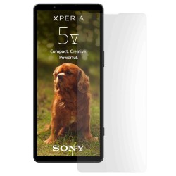 Folie mata SILKASE pentru Sony Xperia 5 V, protectie ecran, silicon